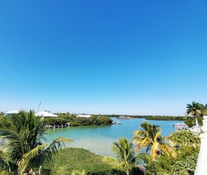 Rooftop view 
