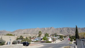 View from the backyard