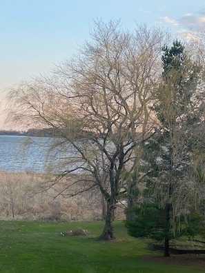 View from the inside of the house