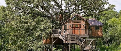 Sunny day at our Farm, view of our Treehouse Suite