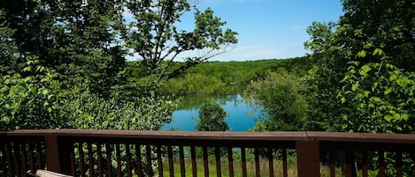 Back Deck View in the Spring