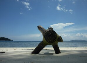 Praia