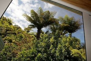 View up into the NZ Native Bush backdrop