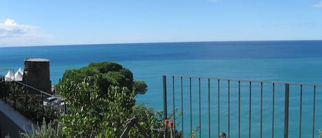 View of the Mediterranean Sea and Riomaggiore's castle