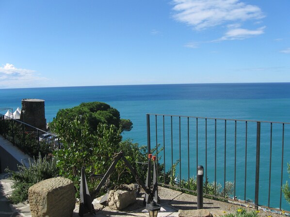 View of the Mediterranean Sea and Riomaggiore's castle