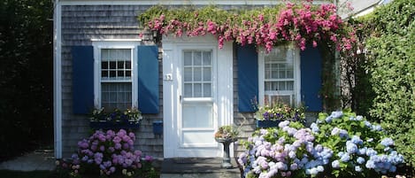 Rose Covered Cottage - "This Is It" 