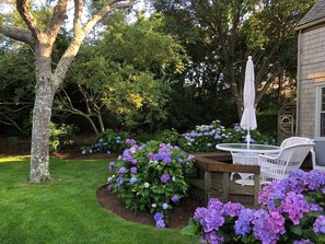 The back dining deck in July