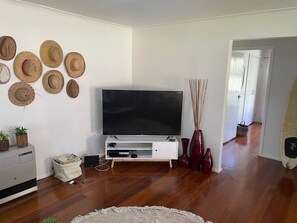 Smart tv- Foxtel Go, Netflix, Stan and Amazon