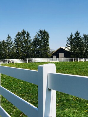 Beautiful views of horse pastures.