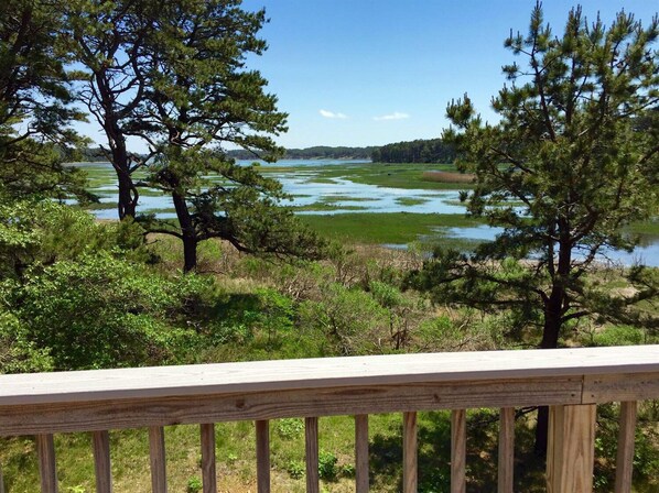 View from deck