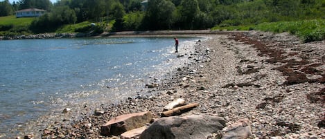 The shore at the lawn's edge