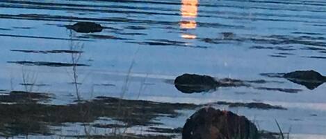 Fire pit at the edge of the shore with full moon/clear ski views