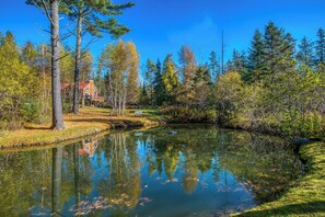 Boendeområde
