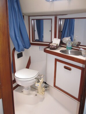Master Bath with toilet "head" and a shower with small bath tub
