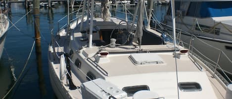 Wild Thing  44 ft. Morgan has lots of deck room for fun in the sun with hardtop.