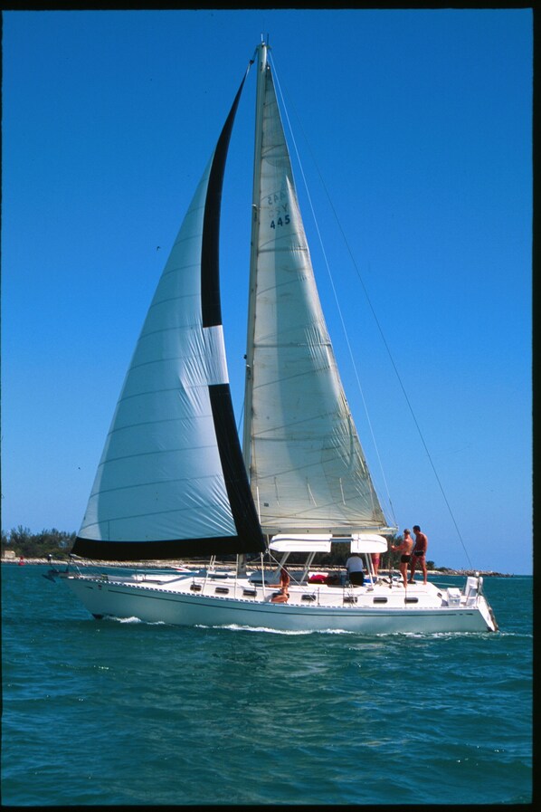 Wild Thing 44 foot Morgan under sail.