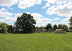 Pasture with fruit trees
