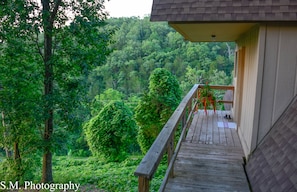 Side Walkway to Front Door entrance