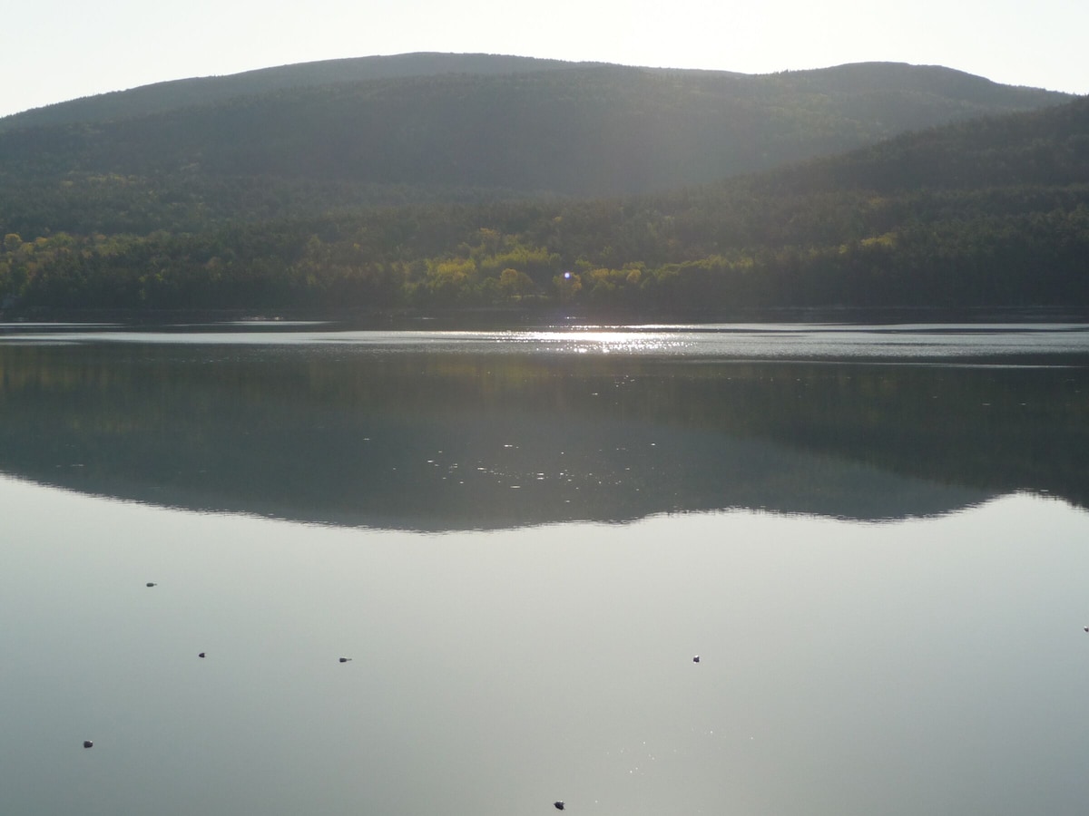 Main Image