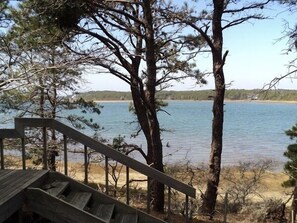 wooded Yard to beach area