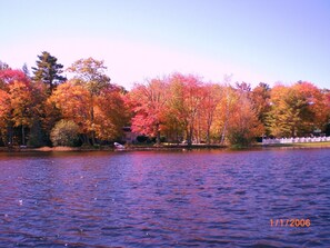 Check out our foliage.