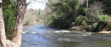 Rushing Fightingtown Creek In Backyard