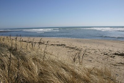 Our Sandy Beach in Front of Cottage