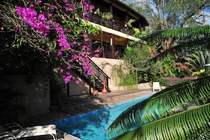 The pool and  gardens surrounding the villas.