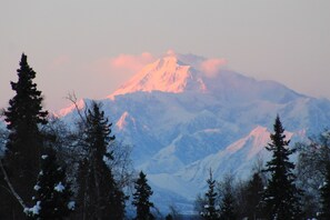 Denali View