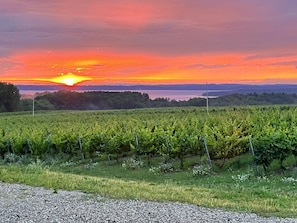 Sunset on Old Mission Peninsula; we are located at the base of the Peninsula.