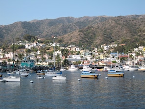 A View of Avalon Bay