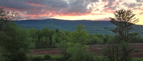 View from house