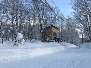 Exteriör