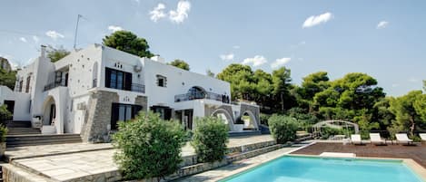 Perspective View of the Villa and the pool