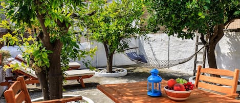 Backyard with lemon, orange and mandarine trees.