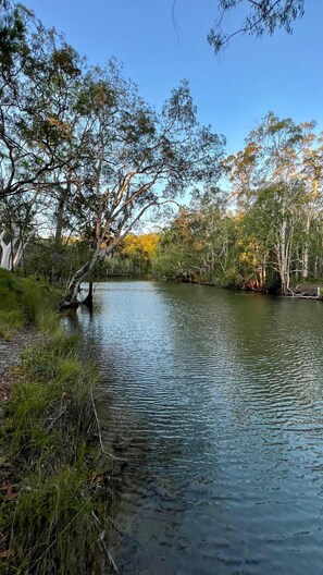 Looking down the river towards Lake Cooroibah