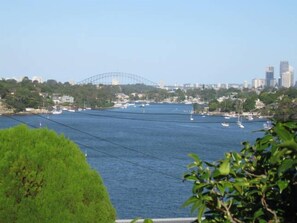 Harbour and city view from garden of Linley Point Harbourview cottage