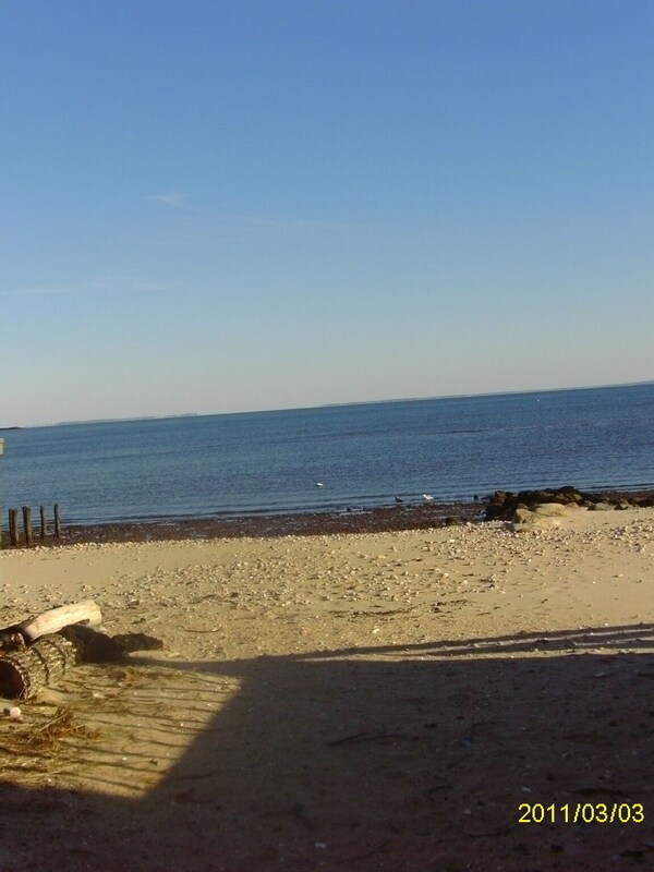 Access Path leading to private beach