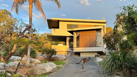 Bosom Beach House