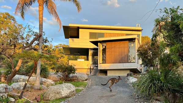 Bosom Beach House

