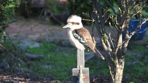 Visitor