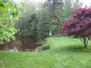 View from back deck