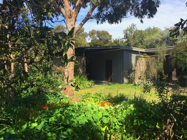 Gardens around house