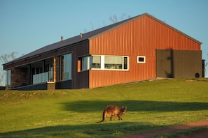 Tammar Ridge sleeps 8 in luxury