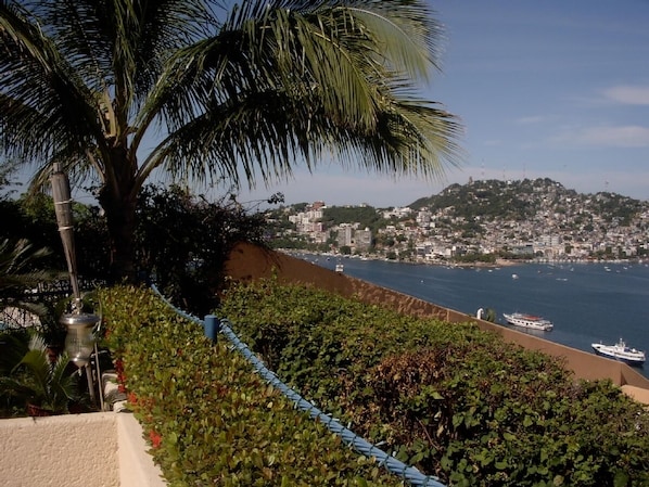 View from pool