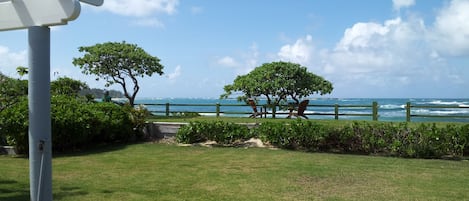 Ocean view from our lawn