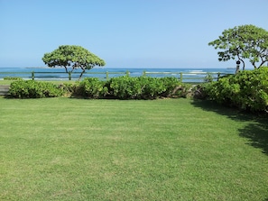 Our Front lawn and Hukilau Beach