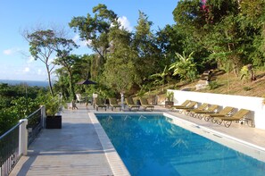 Palashia Villa pool with view of ocean and tropical gardens around