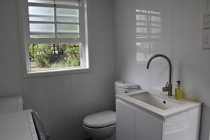 Downstairs ensuite/laundry