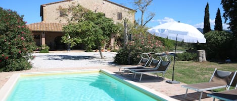 There are 8 beach chairs with the pool